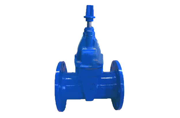 DIN3352 F5 PN10/PN16 Gate Valve